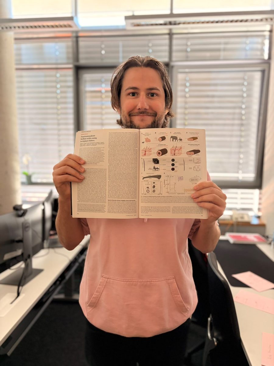 Holding open a printed issue of Science at the elephant whisker paper
